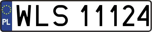 WLS11124