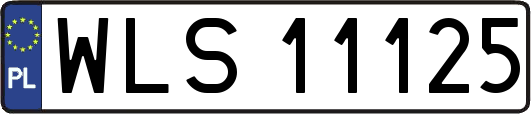 WLS11125