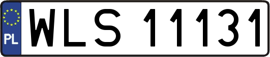 WLS11131