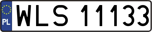 WLS11133