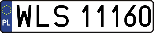 WLS11160