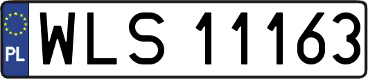 WLS11163