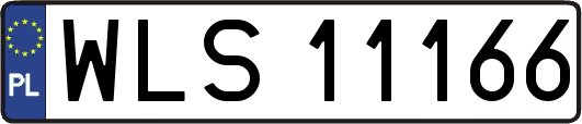 WLS11166
