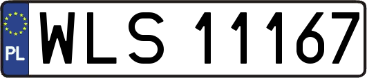WLS11167