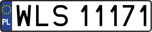 WLS11171
