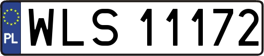 WLS11172
