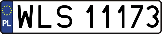 WLS11173