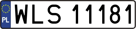 WLS11181