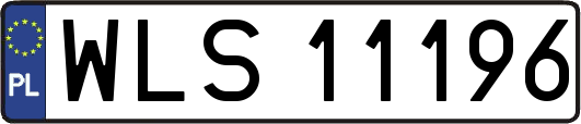 WLS11196