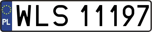WLS11197