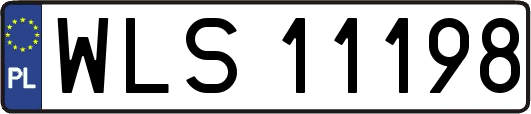 WLS11198