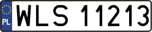 WLS11213