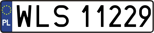WLS11229