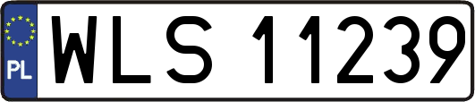 WLS11239