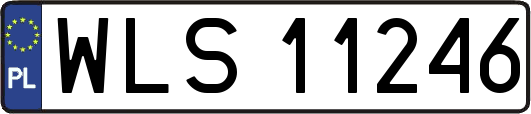 WLS11246