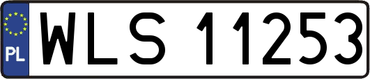 WLS11253