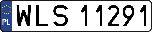 WLS11291