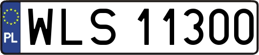 WLS11300