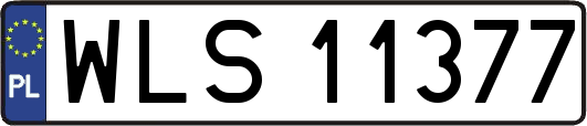 WLS11377