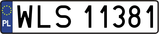 WLS11381