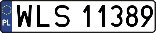 WLS11389