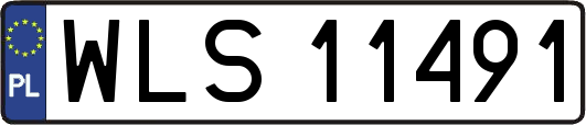 WLS11491