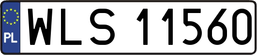 WLS11560