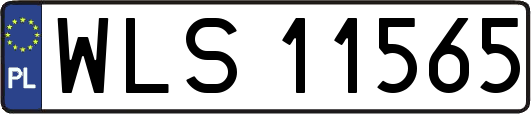 WLS11565