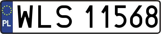 WLS11568