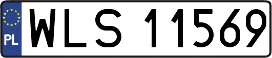 WLS11569