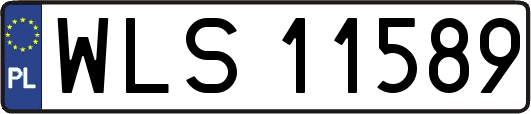 WLS11589