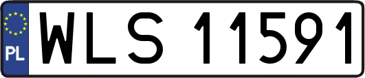 WLS11591
