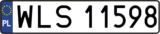 WLS11598