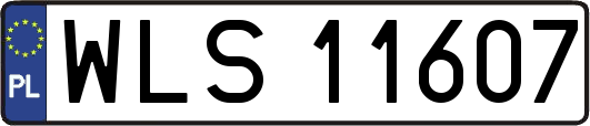 WLS11607