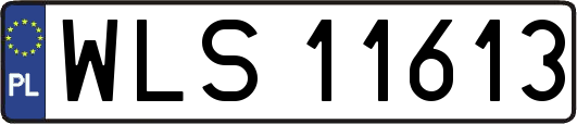 WLS11613