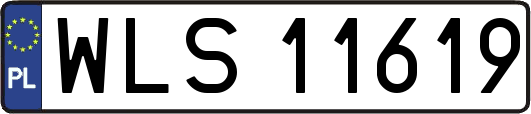 WLS11619