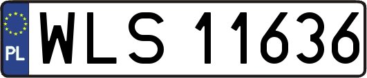 WLS11636