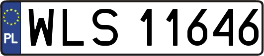 WLS11646