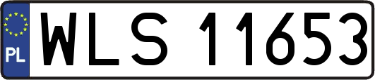 WLS11653