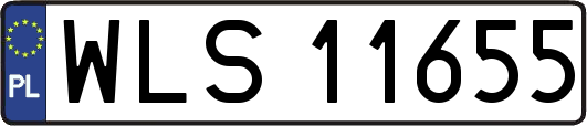 WLS11655
