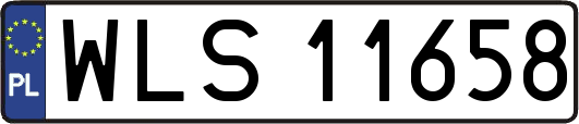 WLS11658