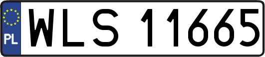 WLS11665