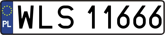 WLS11666