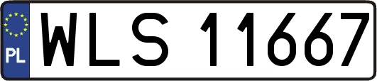 WLS11667