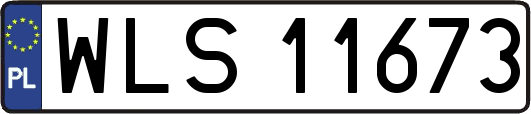 WLS11673