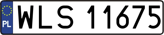 WLS11675