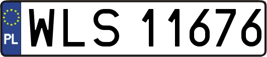 WLS11676