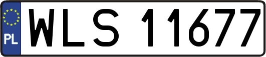 WLS11677
