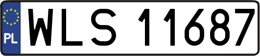 WLS11687