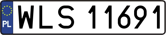 WLS11691